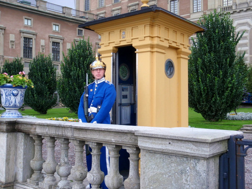 Royal Swedish Palace Guard.